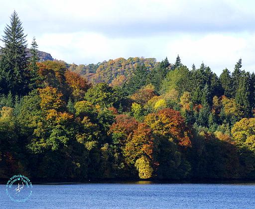 Pitlochry Dam 9P56D-017.JPG